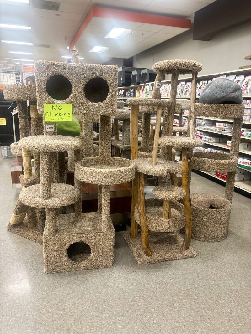 Carpeted cat trees and condos with log posts