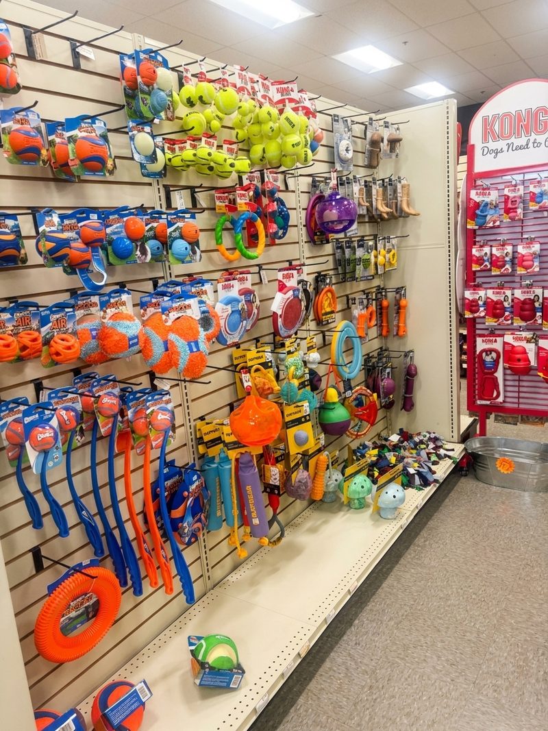 A wall of KONG, Chuckit! and fetch toys